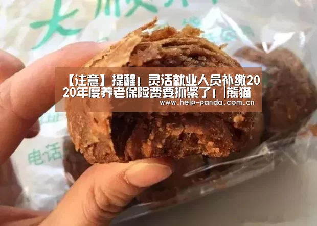 【注意】提醒!灵活就业人员补缴2020年度养老保险费要抓紧了!|熊猫体育官网(图3) 熊猫体育app