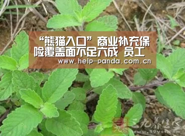 熊猫体育平台
