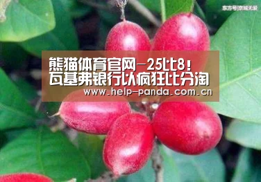 熊猫体育官网