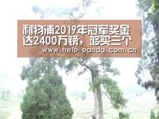 熊猫体育app