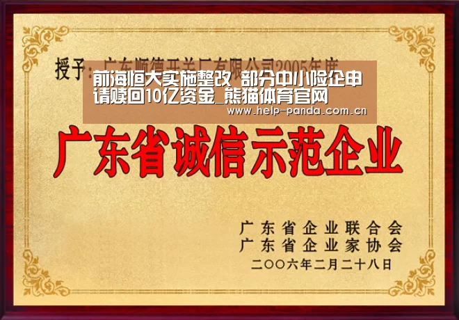 前海恒大实施整改 部分中小险企申请赎回10亿资金_熊猫体育官网(图1) 熊猫体育平台
