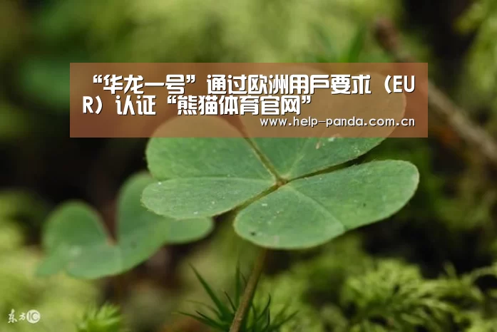 熊猫体育app